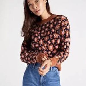 Ann Taylor Leopard Jacquard Sweater